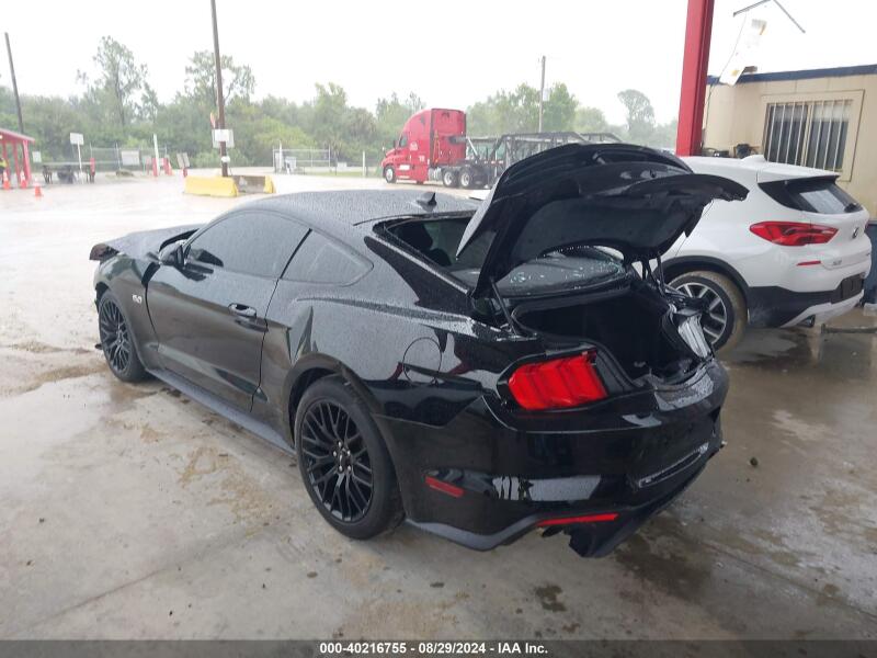 2021 FORD MUSTANG GT FASTBACK - 1FA6P8CF6M5105340 | SeoVin.biz