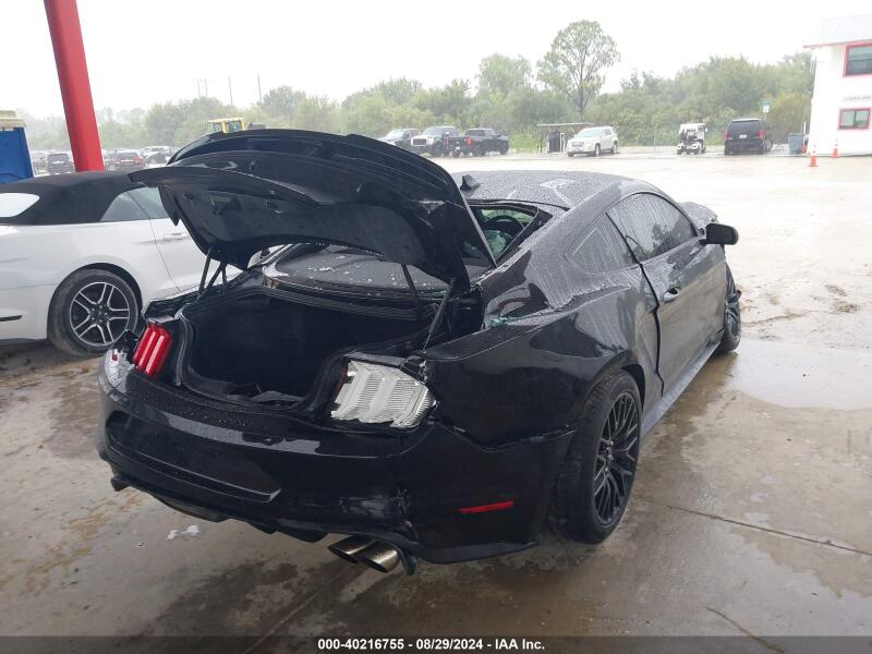 2021 FORD MUSTANG GT FASTBACK - 1FA6P8CF6M5105340 | SeoVin.biz