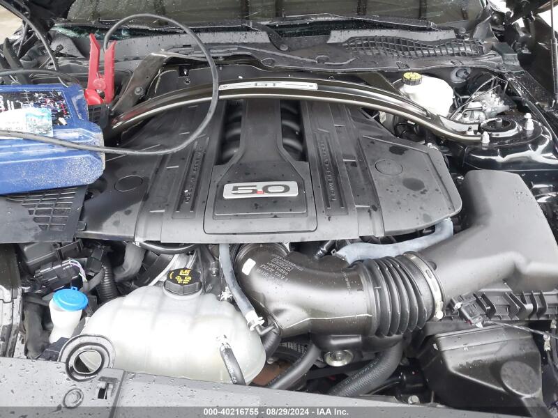 2021 FORD MUSTANG GT FASTBACK - 1FA6P8CF6M5105340 | SeoVin.biz