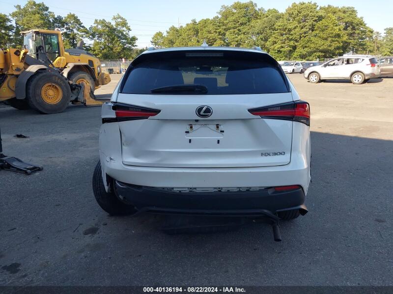 2019 LEXUS NX 300 - JTJYARBZ4K2156157 | SeoVin.biz