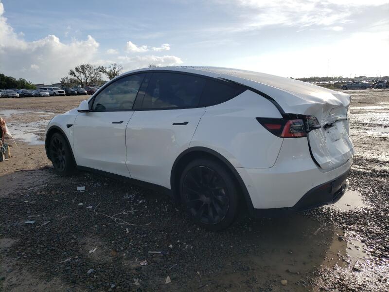2021 TESLA MODEL Y - 5YJYGDEE7MF086912 | SeoVin.biz