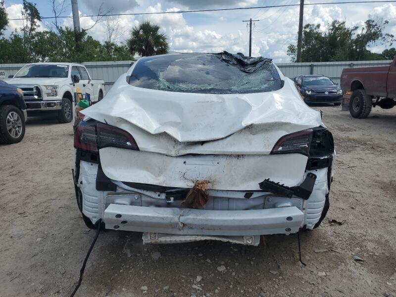 2023 TESLA MODEL 3 - 5YJ3E1EA7PF566691 | SeoVin.biz