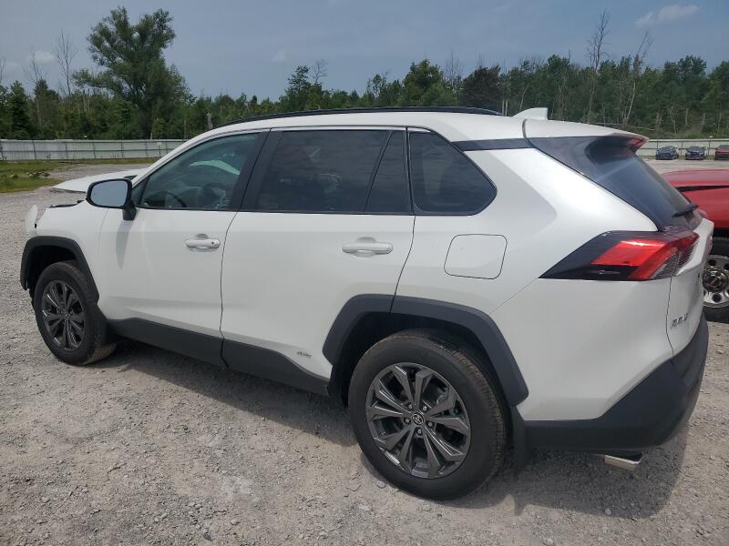 2024 TOYOTA RAV4 XLE PREMIUM - 2T3B6RFV1RW062997 | SeoVin.biz