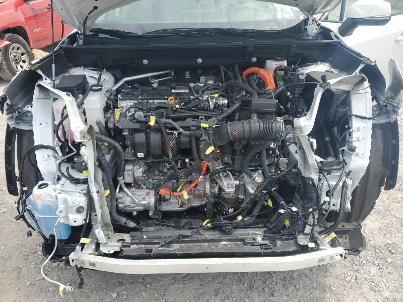 2024 TOYOTA RAV4 XLE PREMIUM - 2T3B6RFV1RW062997 | SeoVin.biz