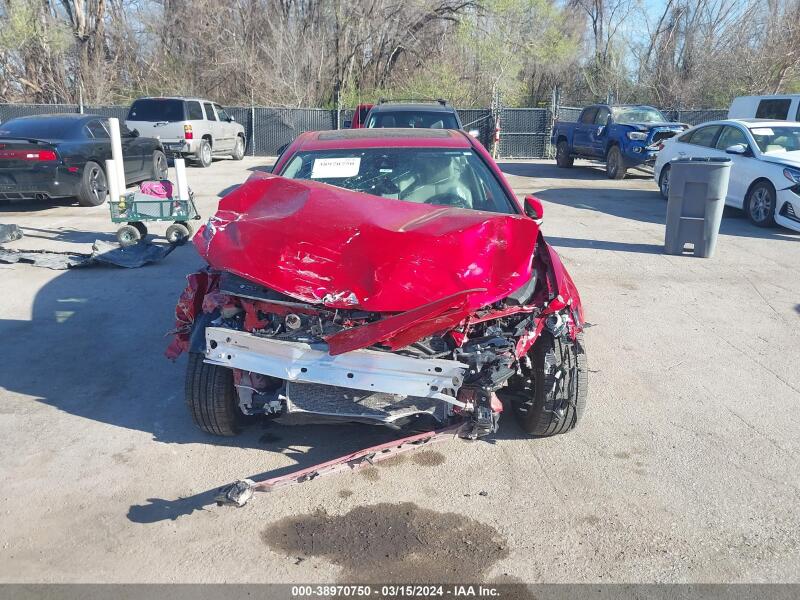2023 TOYOTA CAMRY SE - 4T1T11AK0PU123084 | SeoVin.biz