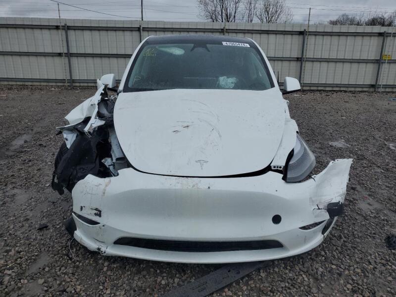 2023 TESLA MODEL Y - 7SAYGDEF5PF958617 | SeoVin.biz