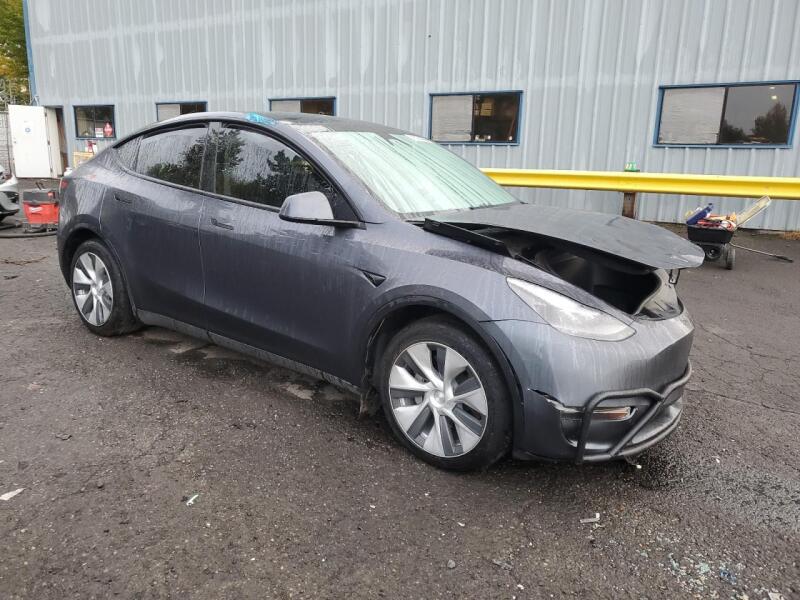 2023 TESLA MODEL Y - 7SAYGDEE7PF809939 | SeoVin.biz
