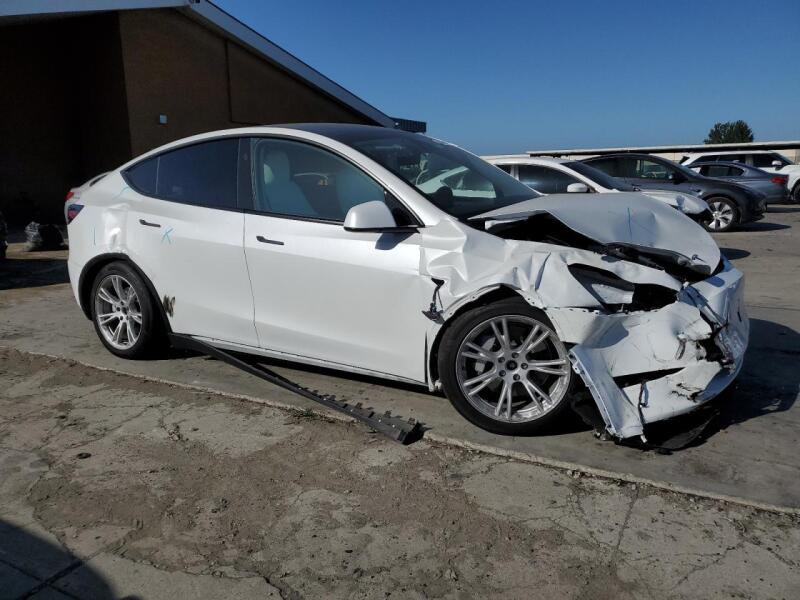2023 TESLA MODEL Y - 7SAYGDEE8PF869910 | SeoVin.biz