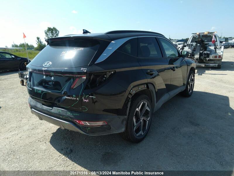 2024 HYUNDAI TUCSON ULTIMATE HYBRID - KM8JCCD13RU167874 | SeoVin.biz