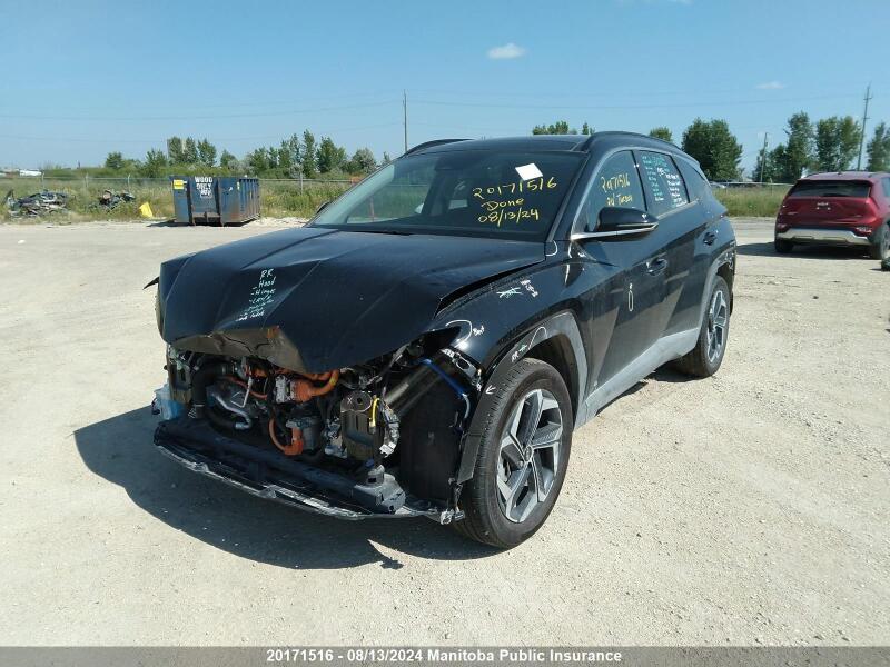 2024 HYUNDAI TUCSON ULTIMATE HYBRID - KM8JCCD13RU167874 | SeoVin.biz