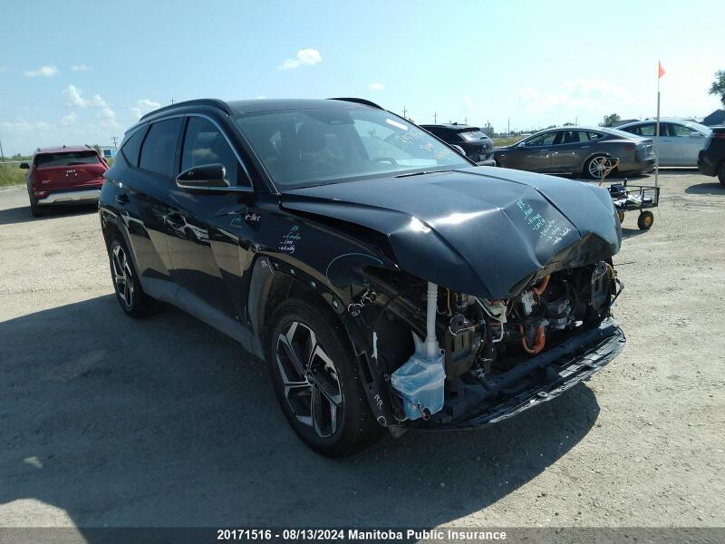 2024 HYUNDAI TUCSON ULTIMATE HYBRID - KM8JCCD13RU167874 | SeoVin.biz