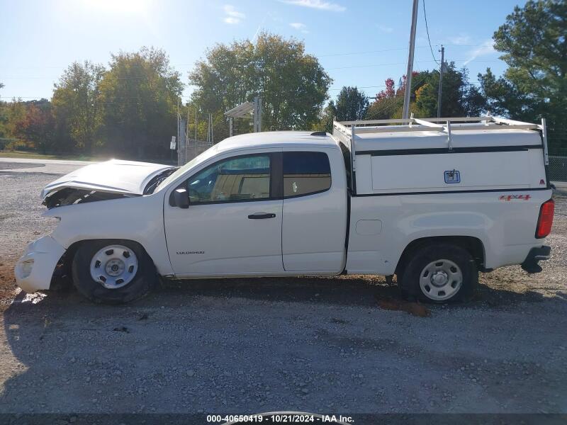 2019 CHEVROLET COLORADO WT - 1GCHTBEN5K1160978 | SeoVin.biz