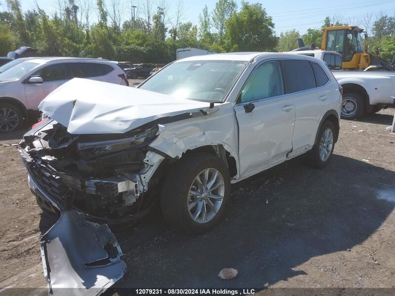2024 HONDA CR-V EXL - 2HKRS4H76RH115115 | SeoVin.biz