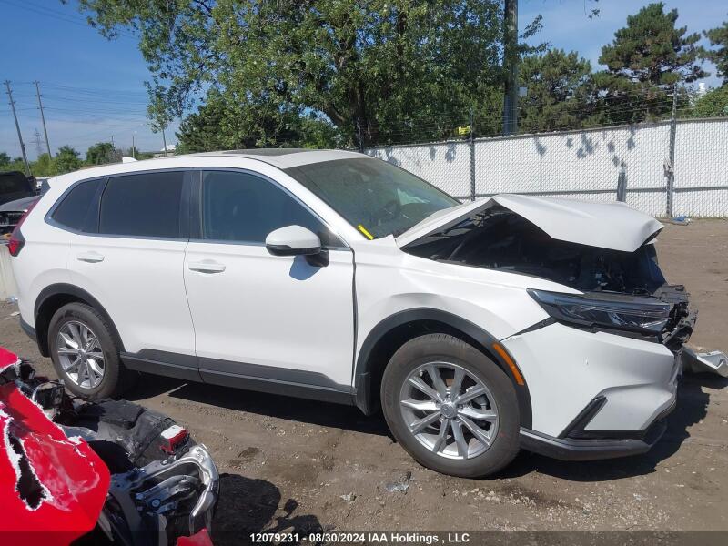2024 HONDA CR-V EXL - 2HKRS4H76RH115115 | SeoVin.biz