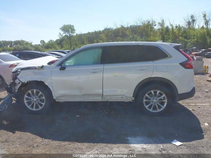 2024 HONDA CR-V EXL - 2HKRS4H76RH115115 | SeoVin.biz