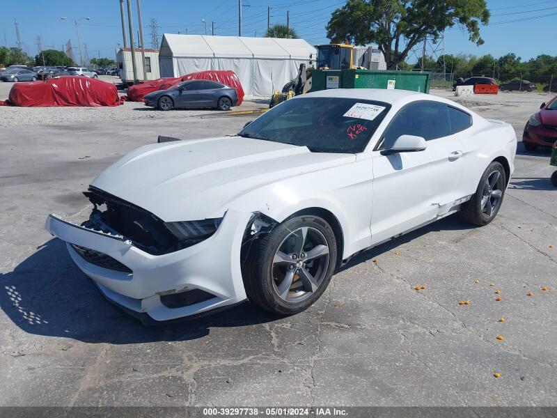 2015 FORD MUSTANG - 1FA6P8AM4F5319344 | SeoVin.biz