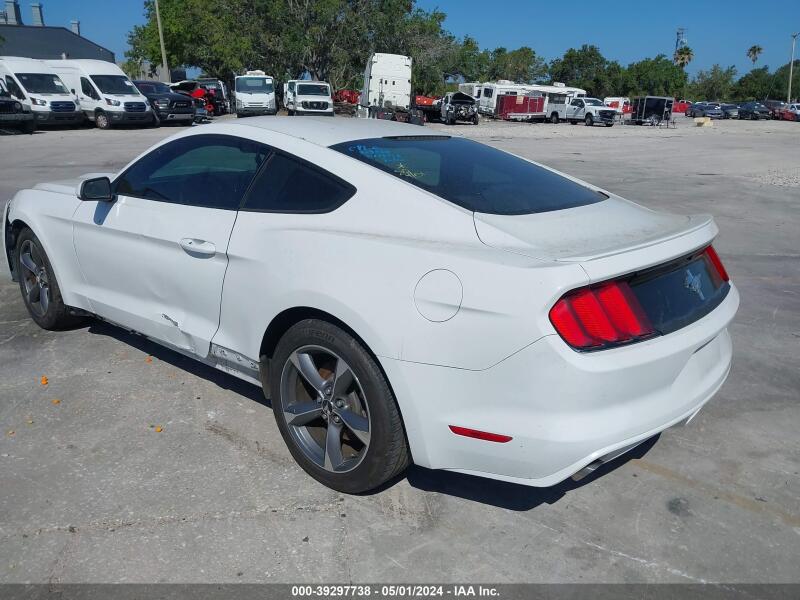 2015 FORD MUSTANG - 1FA6P8AM4F5319344 | SeoVin.biz