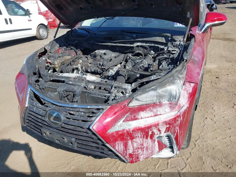 2020 LEXUS NX 300 - JTJDARDZ2L5005085 | SeoVin.biz
