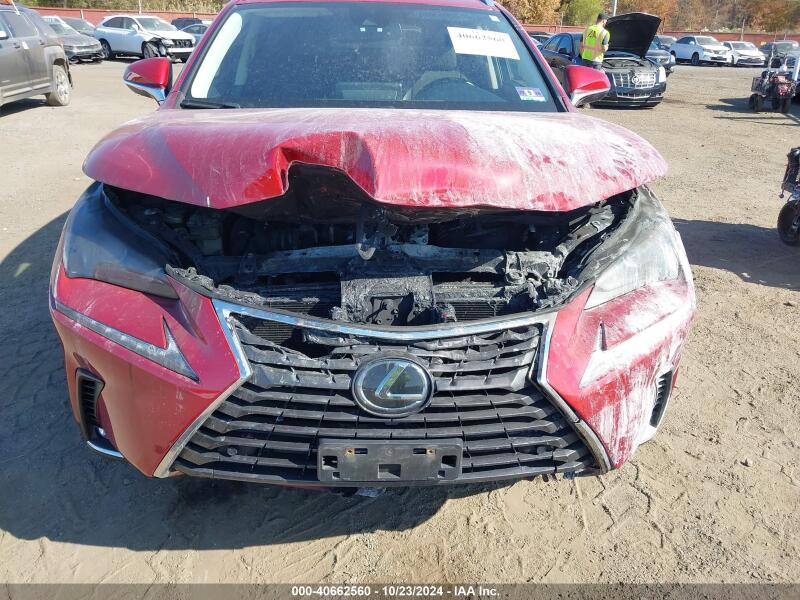 2020 LEXUS NX 300 - JTJDARDZ2L5005085 | SeoVin.biz