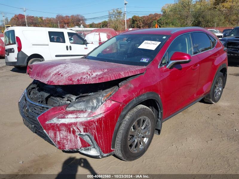 2020 LEXUS NX 300 - JTJDARDZ2L5005085 | SeoVin.biz