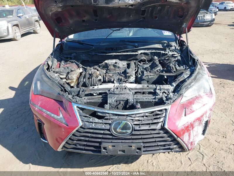 2020 LEXUS NX 300 - JTJDARDZ2L5005085 | SeoVin.biz