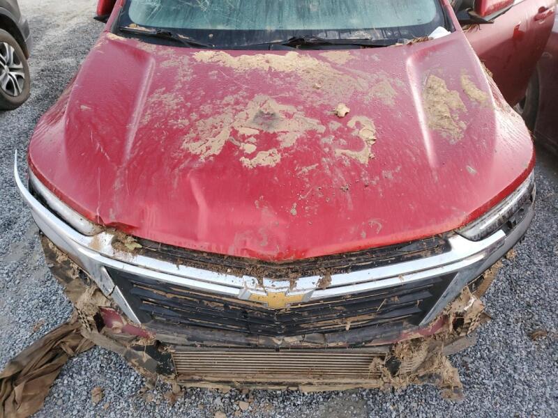 2023 CHEVROLET EQUINOX LT - 3GNAXUEG4PS203707 | SeoVin.biz
