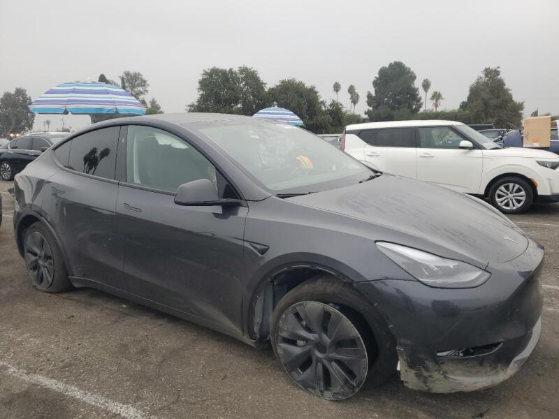 2024 TESLA MODEL Y - 7SAYGDED5RF161155 | SeoVin.biz