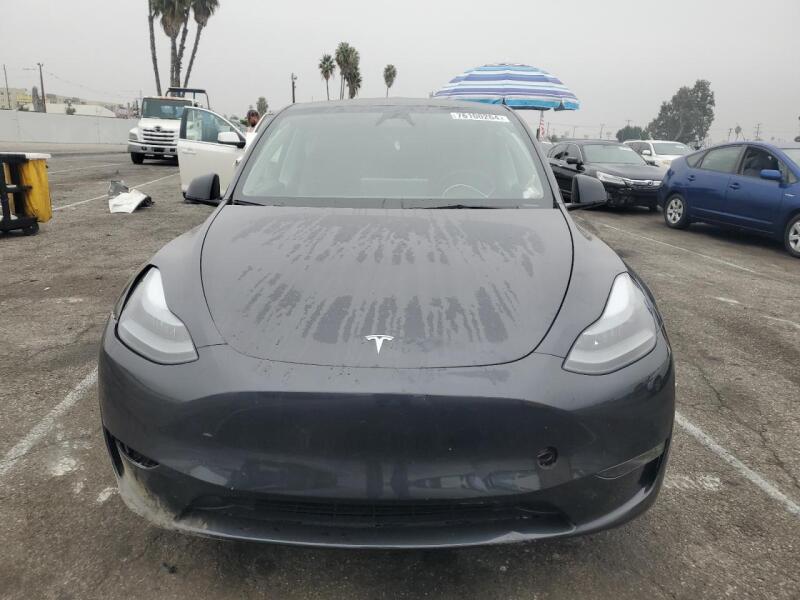 2024 TESLA MODEL Y - 7SAYGDED5RF161155 | SeoVin.biz