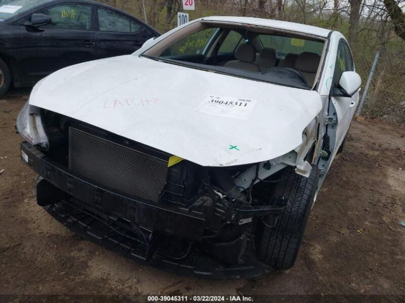 2019 HYUNDAI ELANTRA SEL - 5NPD84LF2KH431298 | SeoVin.biz