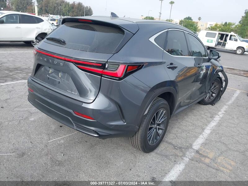 2025 LEXUS NX 250 PREMIUM - 2T2GDCAZ8SC017618 | SeoVin.biz