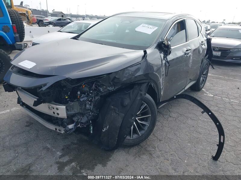 2025 LEXUS NX 250 PREMIUM - 2T2GDCAZ8SC017618 | SeoVin.biz
