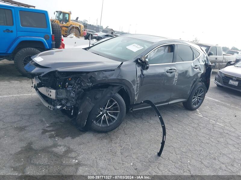 2025 LEXUS NX 250 PREMIUM - 2T2GDCAZ8SC017618 | SeoVin.biz