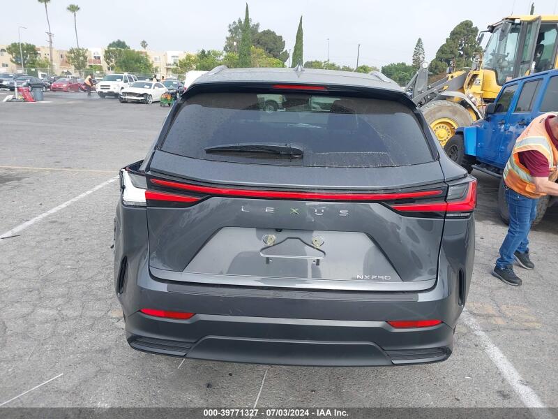 2025 LEXUS NX 250 PREMIUM - 2T2GDCAZ8SC017618 | SeoVin.biz