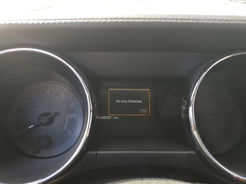 2017 FORD MUSTANG - 1FA6P8TH8H5323271 | SeoVin.biz