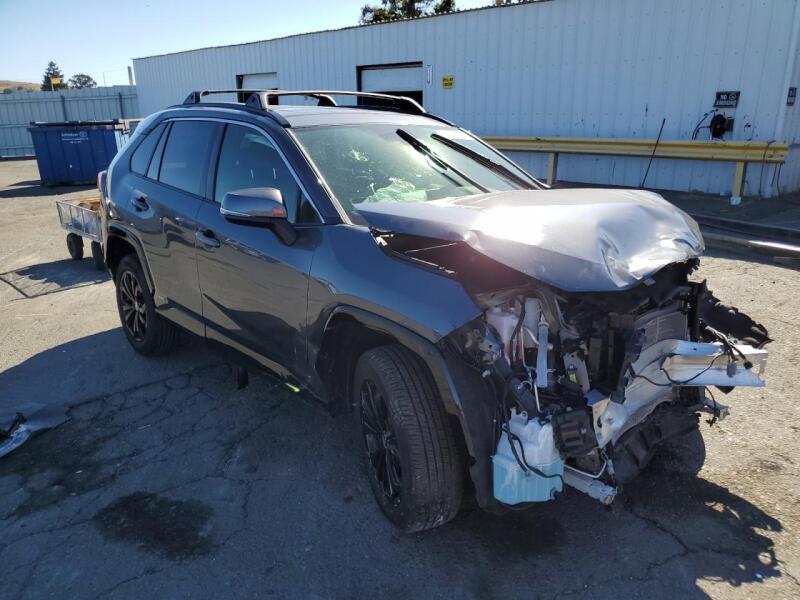 2023 TOYOTA RAV4 SE - JTM16RFVXPD092991 | SeoVin.biz