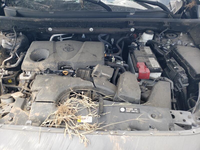 2023 TOYOTA RAV4 XLE PREMIUM - 2T3C1RFV2PC242524 | SeoVin.biz