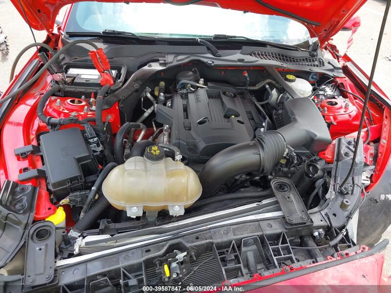 2019 FORD MUSTANG ECOBOOST PREMIUM - 1FATP8UH6K5112529 | SeoVin.biz