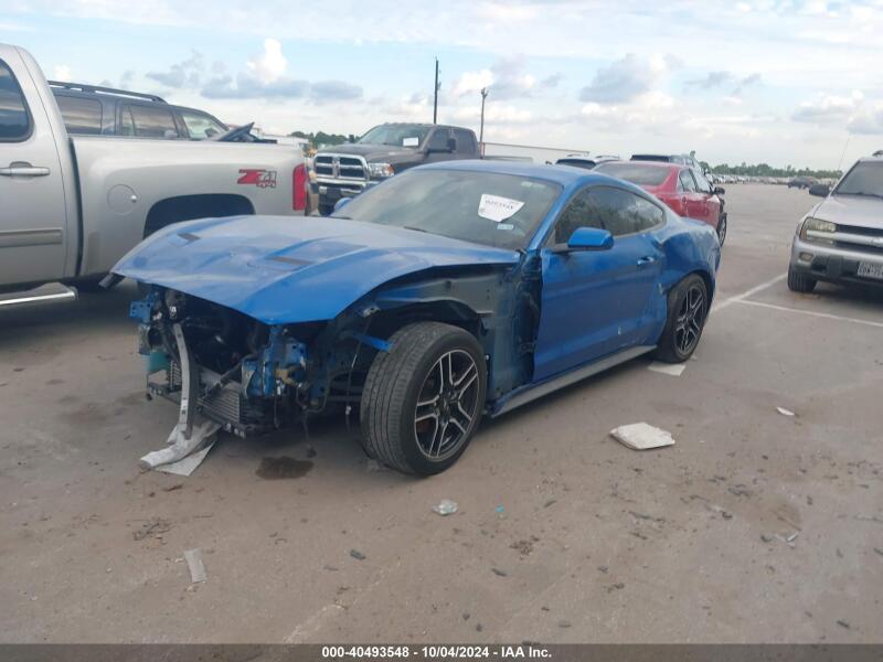 2020 FORD MUSTANG ECOBOOST FASTBACK - 1FA6P8TH2L5124306 | SeoVin.biz