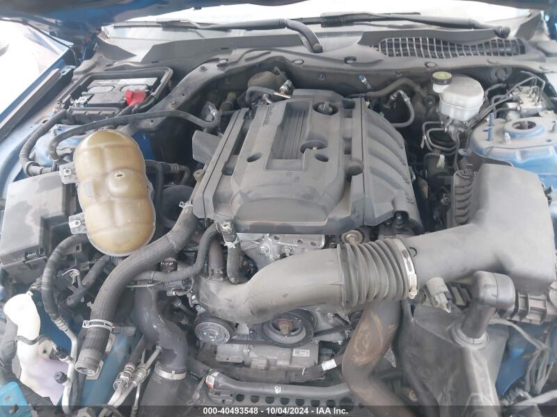 2020 FORD MUSTANG ECOBOOST FASTBACK - 1FA6P8TH2L5124306 | SeoVin.biz