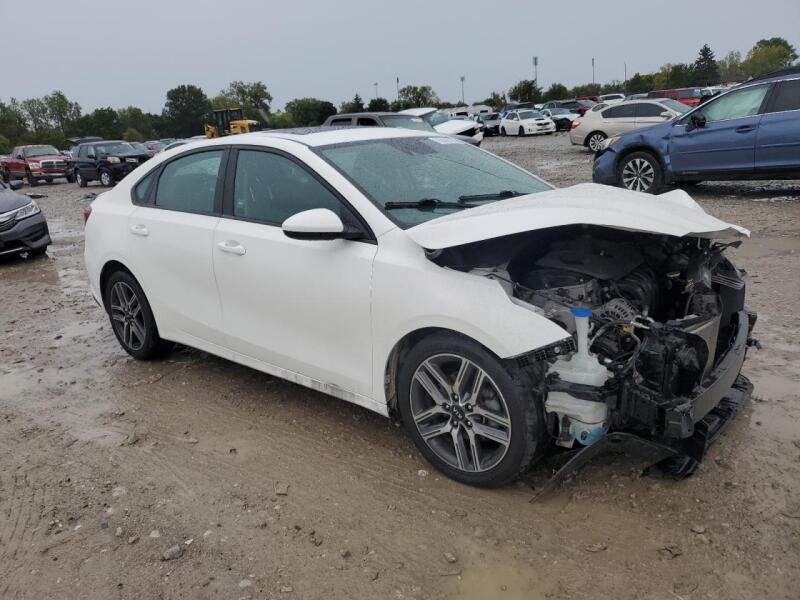 2019 KIA FORTE GT LINE - 3KPF34AD0KE050501 | SeoVin.biz