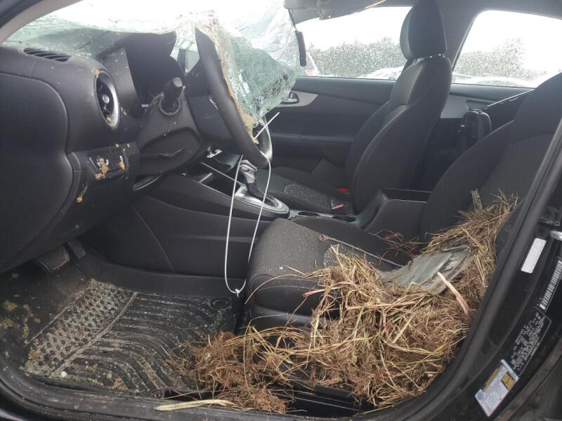 2023 KIA FORTE LX - 3KPF24ADXPE554015 | SeoVin.biz