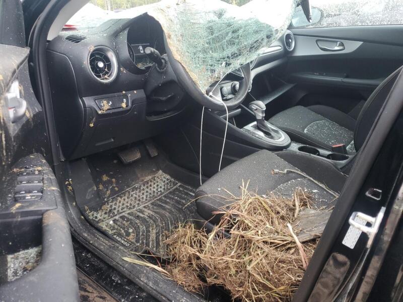 2023 KIA FORTE LX - 3KPF24ADXPE554015 | SeoVin.biz