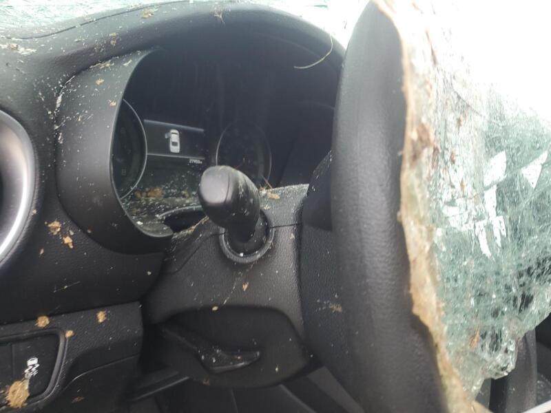 2023 KIA FORTE LX - 3KPF24ADXPE554015 | SeoVin.biz