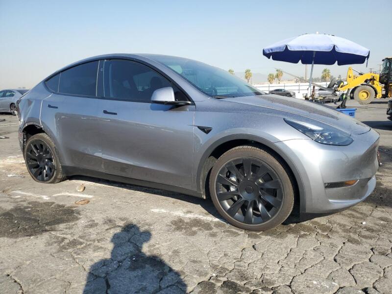 2024 TESLA MODEL Y - 7SAYGDEE0RA299109 | SeoVin.biz