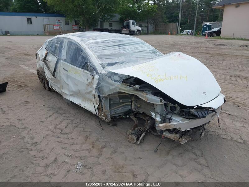 2023 TESLA MODEL 3 - LRW3E1EB7PC851927 | SeoVin.biz