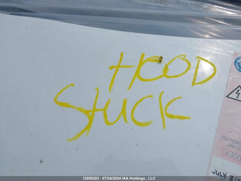 2023 TESLA MODEL 3 - LRW3E1EB7PC851927 | SeoVin.biz