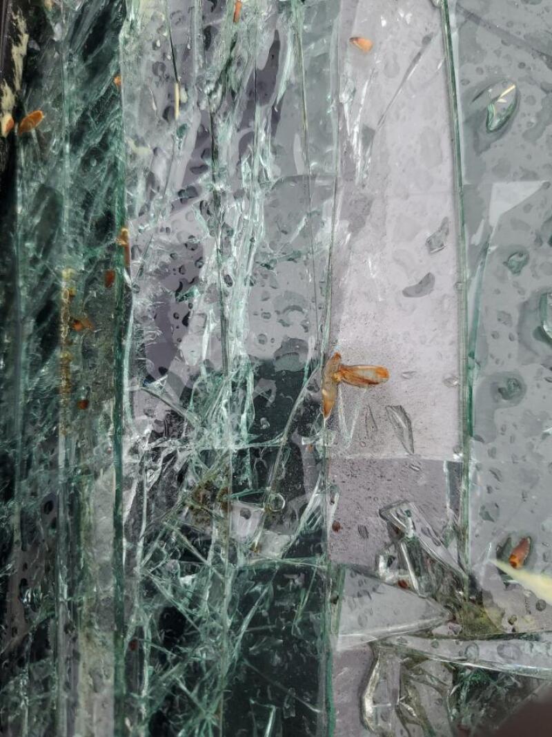 2018 TOYOTA COROLLA L - 2T1BURHE6JC044691 | SeoVin.biz