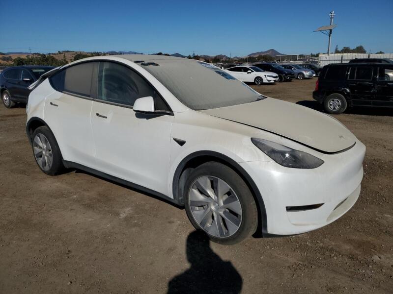 2023 TESLA MODEL Y - 7SAYGDEE7PF628498 | SeoVin.biz