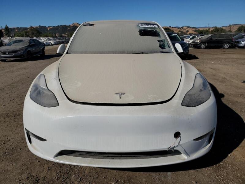 2023 TESLA MODEL Y - 7SAYGDEE7PF628498 | SeoVin.biz
