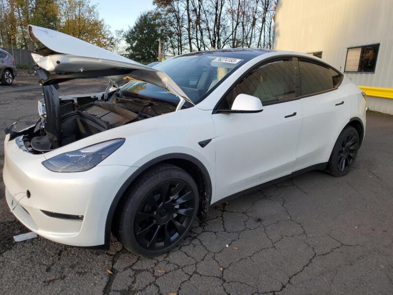 2023 TESLA MODEL Y - 7SAYGDEE0PF814285 | SeoVin.biz